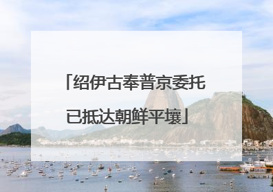 绍伊古奉普京委托已抵达朝鲜平壤