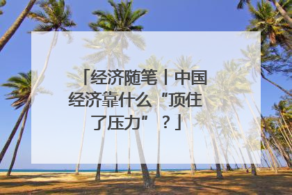 经济随笔丨中国经济靠什么“顶住了压力”？