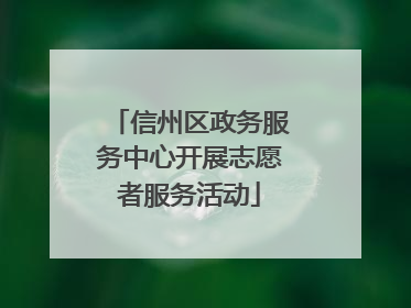 信州区政务服务中心开展志愿者服务活动
