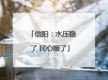 信阳：水压稳了 民心暖了