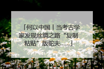 何以中国丨当考古学家发现丝绸之路“复制粘贴”版驼夫……