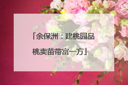 余保洲：建桃园品桃卖苗带富一方