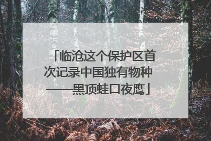 临沧这个保护区首次记录中国独有物种——黑顶蛙口夜鹰