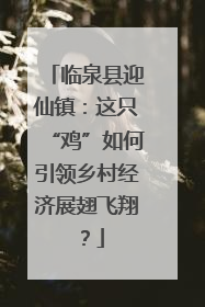 临泉县迎仙镇：这只“鸡”如何引领乡村经济展翅飞翔？