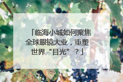 临海小城如何聚焦全球眼镜大业，重塑世界“目光”？