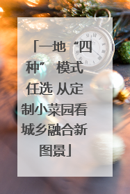 一地“四种” 模式任选 从定制小菜园看城乡融合新图景