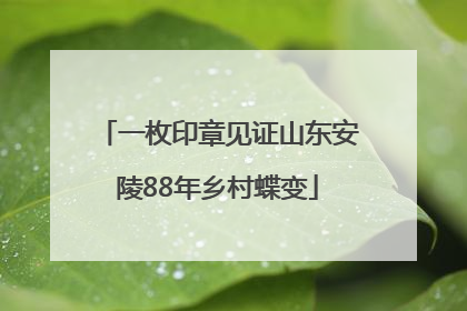 一枚印章见证山东安陵88年乡村蝶变
