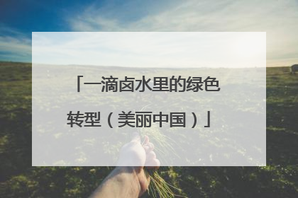 一滴卤水里的绿色转型（美丽中国）