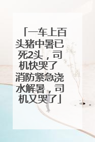 一车上百头猪中暑已死2头，司机快哭了 消防紧急浇水解暑，司机又哭了