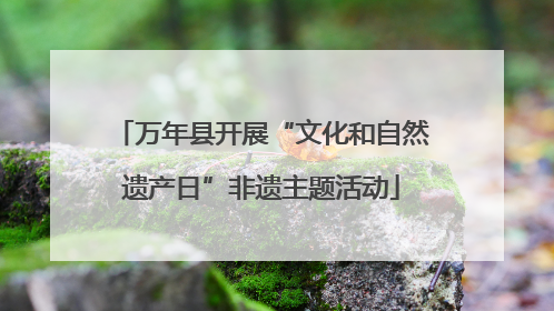 万年县开展“文化和自然遗产日”非遗主题活动