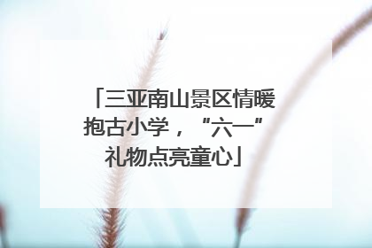 三亚南山景区情暖抱古小学，“六一”礼物点亮童心