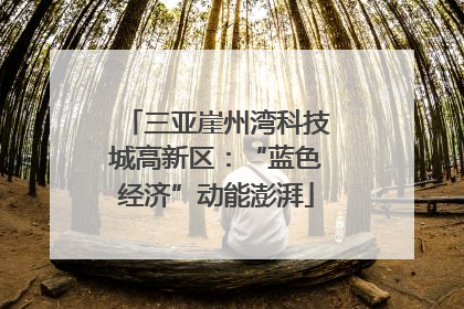 三亚崖州湾科技城高新区：“蓝色经济”动能澎湃