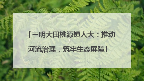 三明大田桃源镇人大：推动河流治理，筑牢生态屏障