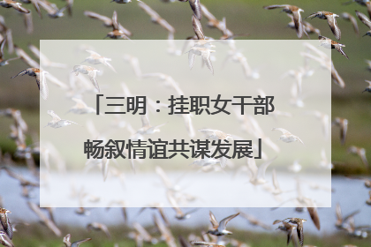 三明：挂职女干部畅叙情谊共谋发展