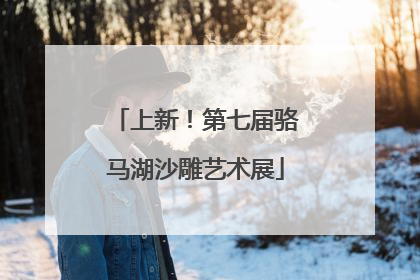 上新！第七届骆马湖沙雕艺术展