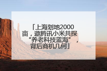 上海划地2000亩，邀腾讯小米共探“养老科技蓝海”，背后商机几何