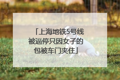 上海地铁5号线被逼停只因女子的包被车门夹住