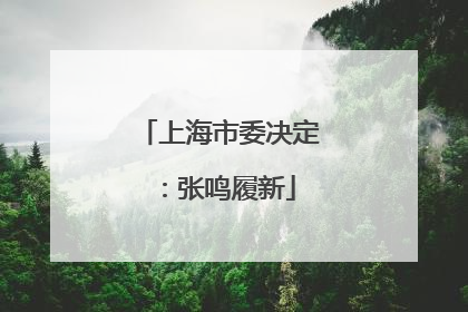 上海市委决定：张鸣履新