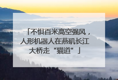不惧百米高空强风，人形机器人在燕矶长江大桥走“猫道”
