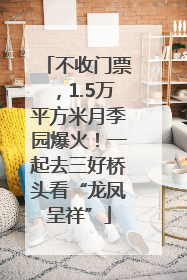 不收门票，1.5万平方米月季园爆火！一起去三好桥头看“龙凤呈祥”