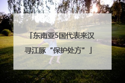 东南亚5国代表来汉寻江豚“保护处方”