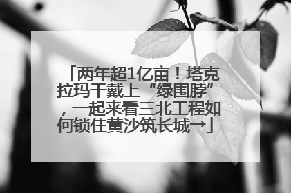 两年超1亿亩！塔克拉玛干戴上“绿围脖”，一起来看三北工程如何锁住黄沙筑长城→