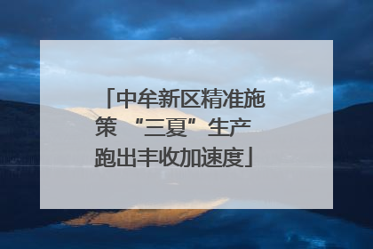 中牟新区精准施策 “三夏”生产跑出丰收加速度
