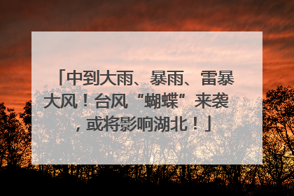 中到大雨、暴雨、雷暴大风！台风“蝴蝶”来袭，或将影响湖北！