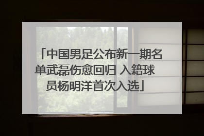中国男足公布新一期名单武磊伤愈回归 入籍球员杨明洋首次入选