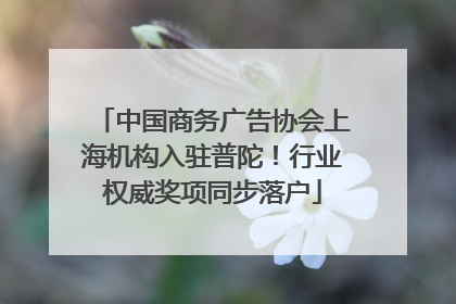 中国商务广告协会上海机构入驻普陀！行业权威奖项同步落户