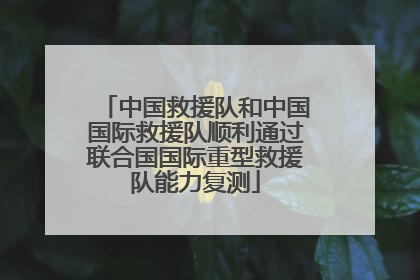 中国救援队和中国国际救援队顺利通过联合国国际重型救援队能力复测