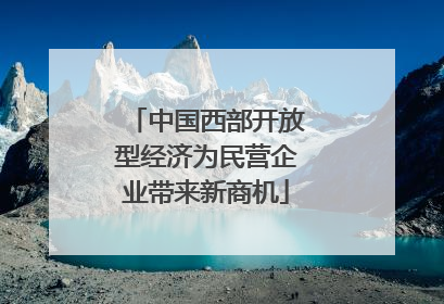 中国西部开放型经济为民营企业带来新商机
