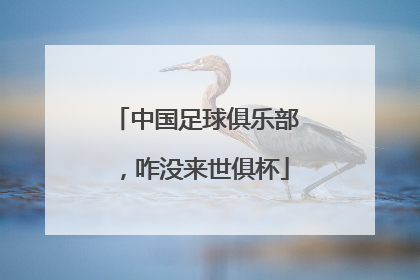 中国足球俱乐部，咋没来世俱杯