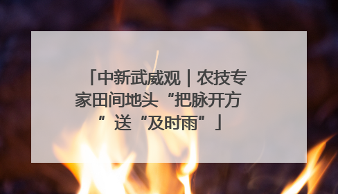中新武威观｜农技专家田间地头“把脉开方”送“及时雨”