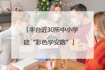 丰台近30所中小学建“彩色学安路”