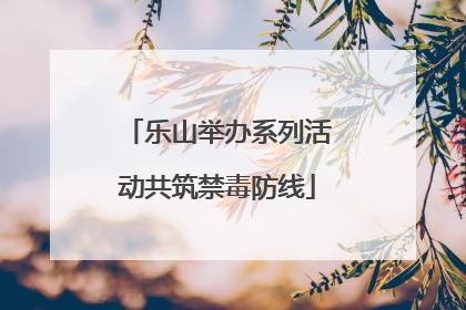 乐山举办系列活动共筑禁毒防线
