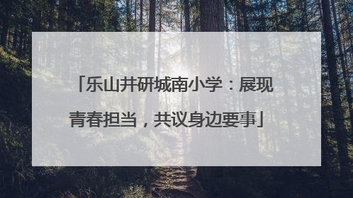 乐山井研城南小学：展现青春担当，共议身边要事