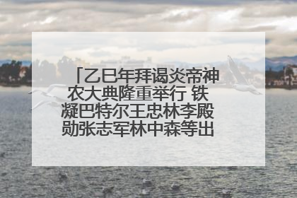 乙巳年拜谒炎帝神农大典隆重举行 铁凝巴特尔王忠林李殿勋张志军林中森等出席 孙伟主持