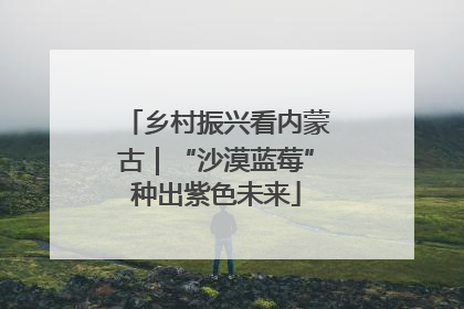 乡村振兴看内蒙古｜“沙漠蓝莓”种出紫色未来