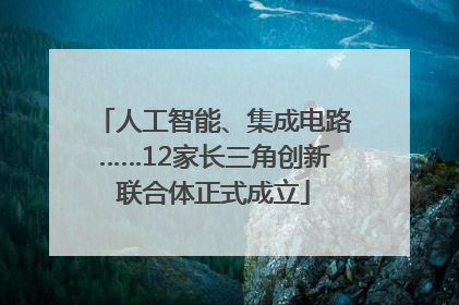 人工智能、集成电路……12家长三角创新联合体正式成立