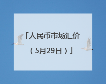 人民币市场汇价（5月29日）