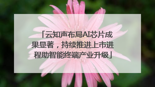 云知声布局AI芯片成果显著，持续推进上市进程助智能终端产业升级
