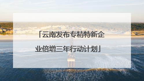 云南发布专精特新企业倍增三年行动计划