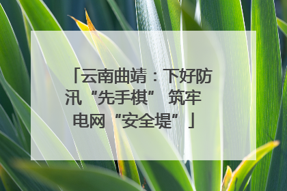 云南曲靖：下好防汛“先手棋” 筑牢电网“安全堤”