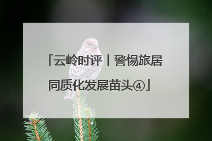 云岭时评丨警惕旅居同质化发展苗头④