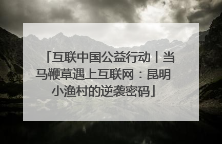 互联中国公益行动丨当马鞭草遇上互联网：昆明小渔村的逆袭密码