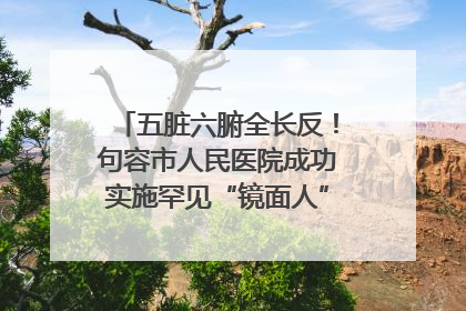 五脏六腑全长反！句容市人民医院成功实施罕见“镜面人”肝癌根治术