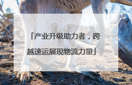 产业升级助力者，跨越速运展现物流力量