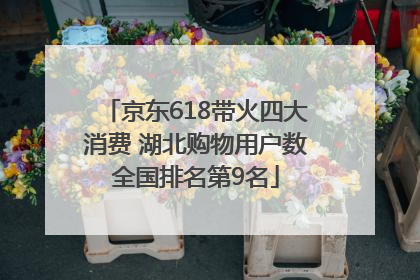 京东618带火四大消费 湖北购物用户数全国排名第9名