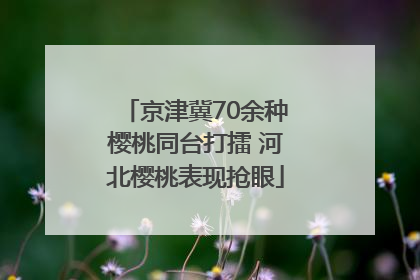 京津冀70余种樱桃同台打擂 河北樱桃表现抢眼